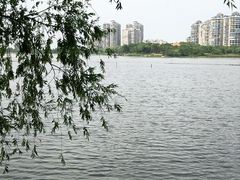 -金银湖国家城市湿地公园