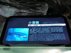 -泉城欧乐堡海洋极地世界