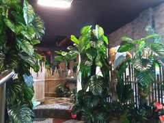 -泉城欧乐堡戏水湾艺术养生温泉