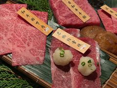 -老乾杯(深圳湾万象城店)