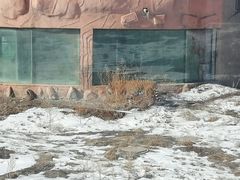 -新疆天山野生动物园