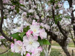 -元大都城垣遗址公园