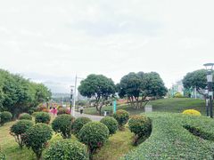 -立新湖公园