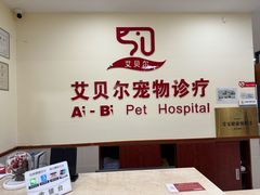-艾贝尔宠物诊疗