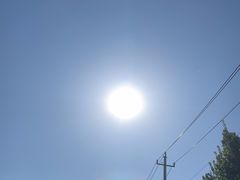 -济南方特东方神画