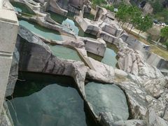 海盗邨-蛇蟠岛