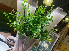 -探窝·竹笙椰子鸡(杨箕店)