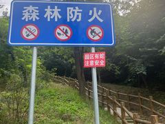 -白水寺森林公园