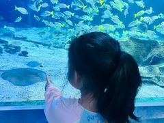 -海合安武汉极地海洋公园