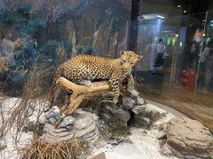 -陕西自然博物馆