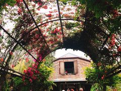 -The Grounds of Alexandria