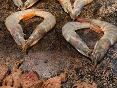 -石煎故事健康烤肉