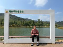 -千年银杏谷文化旅游区