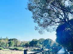 -河姆渡遗址博物馆