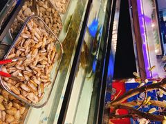 -海吃海喝海鲜烤肉炭火主题自助餐(朝阳店)