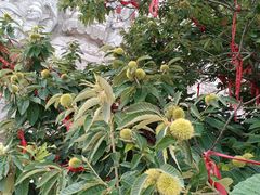 -艾山风景名胜区