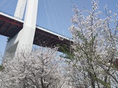-南浦大桥长途旅游客运站