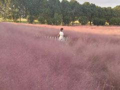 -嘉北郊野公园