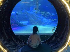 -沈阳海洋探索中心