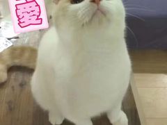 -美芝莲(领展购物广场中关村店)