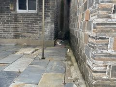 -高淳老街