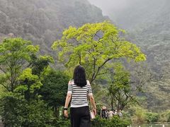 -靖西鹅泉风景区