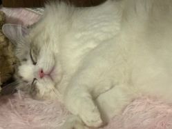 -北京和美妇儿医院