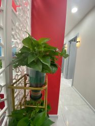 -晶奕空间专业脱毛连锁机构