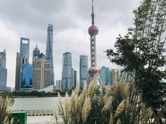 -北外滩滨江绿地