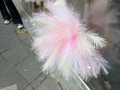 -WHEN PIGS FLY当猪飞