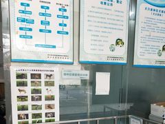 -艾吉宠物医院·疑难杂症转诊中心·猫友好(碧江路院)