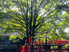-峨眉山报国寺