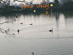 -艾溪湖湿地公园