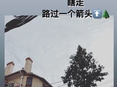 -WHEN PIGS FLY当猪飞