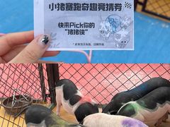 -太阳岛度假酒店