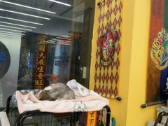 -谜盒子奇幻密室(南屏店)