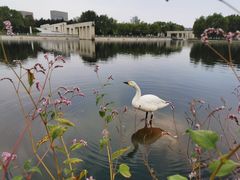 -长春世界雕塑园冰雪艺术天地