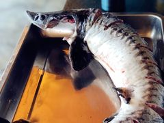 -荣德灶台鱼(圣泉寺店)