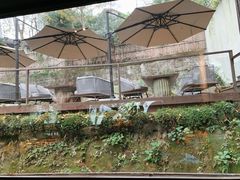 -青竺·青竹茶舍(断桥店)