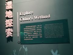 -中国湿地博物馆