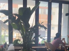 -the rug 飞毯 (朝阳公园店)