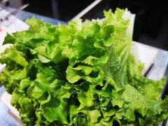 生菜-汉城烧烤(西稍门劳动路店)