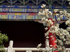 -皇罗禅寺