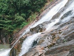 -广州白江湖森林公园