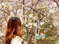 -Hi Fi Acoustic 梵香禅韵·色声香味