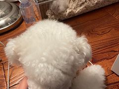 -宠颐生宠物医院·犬猫全科·皮肤科(商业街店)