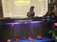 -戴师傅川西坝子(彩泉旗舰店)