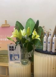 -Fundi张玉珊修身堂·indiba·BTL科技瘦身