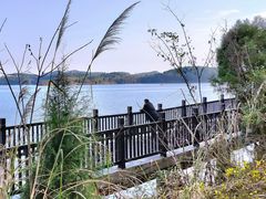 -仙海旅游度假区