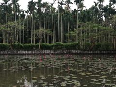 -红色娘子军纪念园